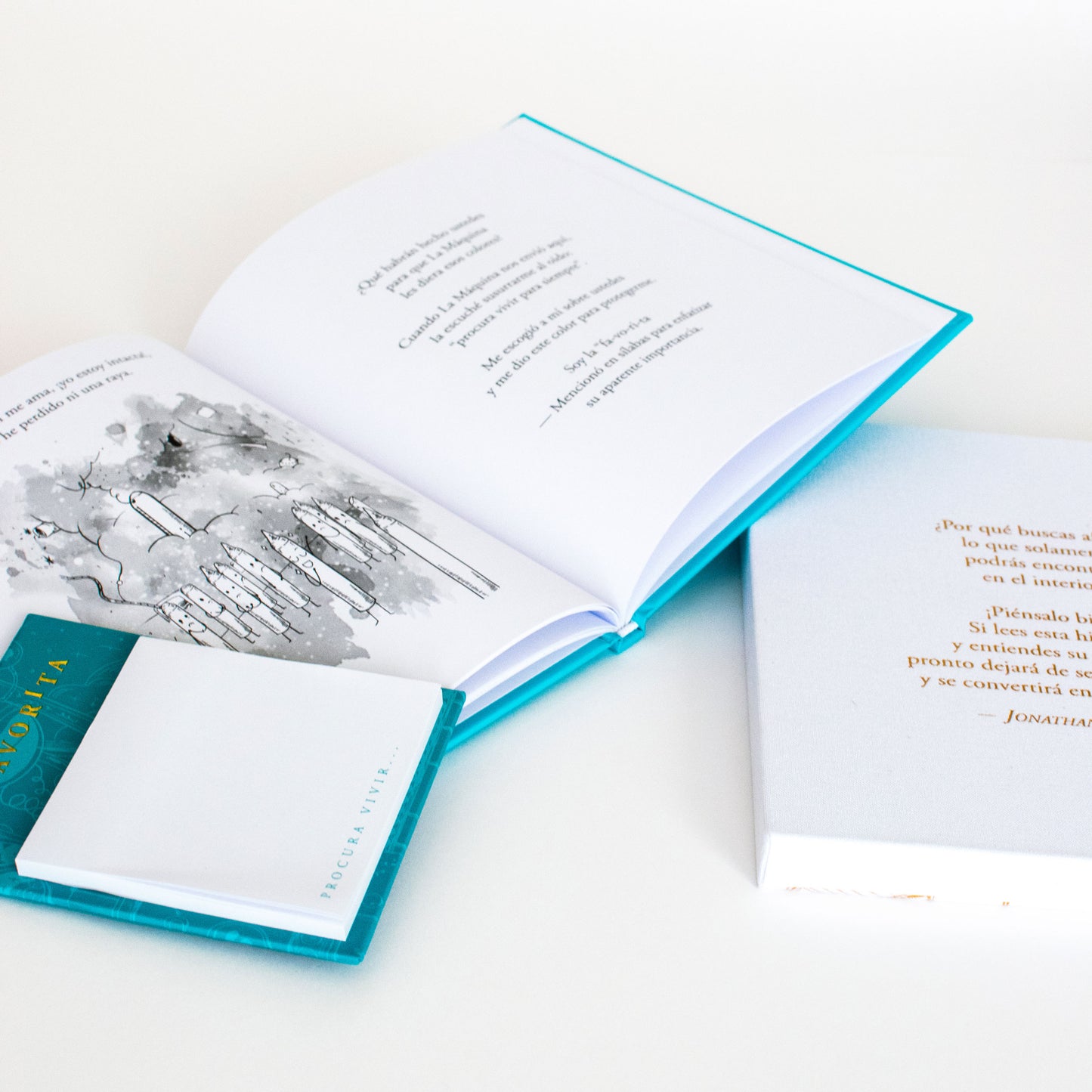 Libro | La Favorita